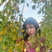 ���������� �����������, ���� ������� ����������, 40 ���, ������������ ��� c�������� ���������