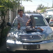  ,   Daler, 37 ,     , c 