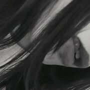 ���������� �����������, ��������