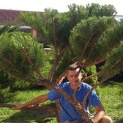 ���������� �������-����������, ������� �������, 36