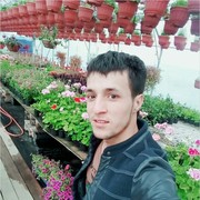 ���������� ������, ���� ������� Akbar, 33 ����, ������������ ��� ������, ����� � ���������, c�������� ���������