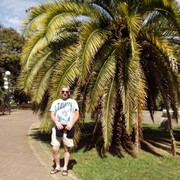 ���������� �������, ���� ������� Nik, 55 ���, ������������ ��� ������