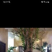 ���������� ������������, ���� ������� �����, 36 ���, ������������ ��� ������, ����� � ���������