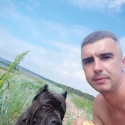  -,   , 41 ,   , 