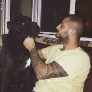  Boyalik,   Ulubatli, 36 ,   ,   