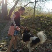 ���������� �����-���������, ���� ������� �����, 32 ����, ������������ ��� ������, ����� � ���������