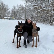 ���������� ������, ������