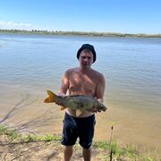 ���������� ��������, ���� ������� ������, 29 ���, ������������ ��� ������, ����� � ���������, c�������� ���������