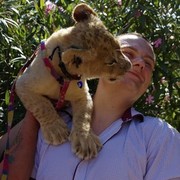 ���������� ������������, ���� ������� ������, 34 ����, ������������ ��� ������, ����� � ���������, c�������� ���������, ���������