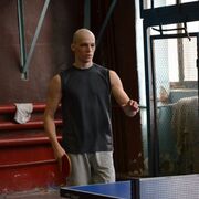 ���������� �����, ���� ������� �������, 34 ����, ������������ ��� ������, ����� � ���������