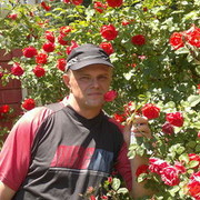  ,   , 52 ,     , c 