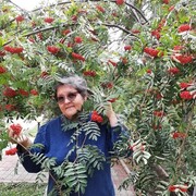  ,   , 65 ,     , 