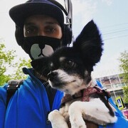 ���������� ������, ���� ������� �����, 36 ���, ������������ ��� ������, ����� � ���������, c�������� ���������