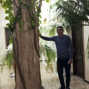 ���������� ���������, ������� ����, 39