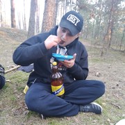  ,   Lion, 31 ,   