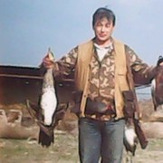 ���������� �������, ���� ������� ������ ���, 61 ���, ������������ ��� ������, ����� � ���������, c�������� ���������, ���������