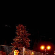 ���������� ������, ���� ����� ������, 25 ���, ������������ ��� ������, ����� � ���������