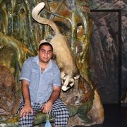  ,   , 32 ,   ,   