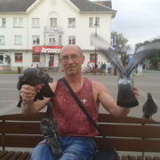  -,  igor, 58