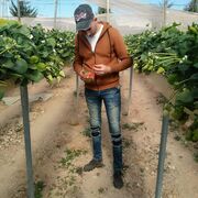  -,   Younes, 31 ,   c , 