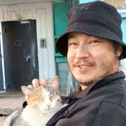 ���������� ����������, ���� ������� ������, 31 ���, ������������ ��� ����� � ���������, c�������� ���������