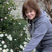 ���������� �����, ���� ������� �����, 60 ���, ������������ ��� c�������� ���������