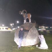  ,   , 38 ,   c 