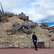 ���������� �����������, ���� ������� �����, 32 ����, ������������ ��� ������, ����� � ���������, c�������� ���������