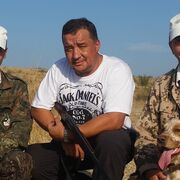 ���������� ��������, ���� ������� ���������, 53 ����, ������������ ��� ������, ����� � ���������, c�������� ���������, ���������