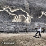 ���������� �������, ���� ������� ��������, 29 ���, ������������ ��� ����� � ���������, c�������� ���������