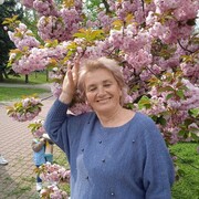  ,   , 66 ,   ,   