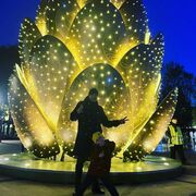 ���������� ������ ��������, ���� ������� ����, 36 ���, ������������ ��� ������, ����� � ���������