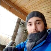  ,  White wolf, 37