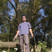  ,   Van, 48 ,  