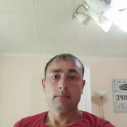 ���������� ����, ���� ������� ���������, 41 ���, ������������ ��� ������, ����� � ���������