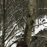 ���������� ������, ���� ������� ���������, 43 ����, ������������ ��� ������, ����� � ���������, c�������� ���������