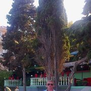  ,   , 50 ,  