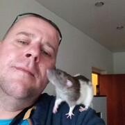 ���������� �����, ���� ������� �����, 49 ���, ������������ ��� ����� � ���������, c�������� ���������