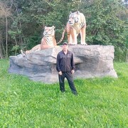 ���������� ��������, ������� ���������, 39