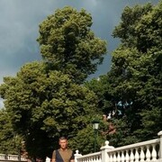 ���������� ������, ���� ������� �������, 43 ����, ������������ ��� ������, ����� � ���������