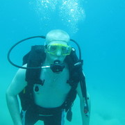 12 ������