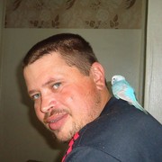   ,   , 39 ,   