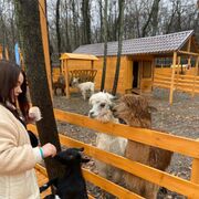 ���������� ���, ���� ������� ������, 31 ���, ������������ ��� ����� � ���������, c�������� ���������, ���������