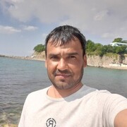  ,   , 41 ,   ,   