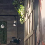 ���������� ������, ���� ������� �����, 28 ���, ������������ 