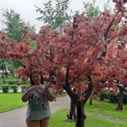  ,   , 46 ,   , 