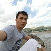  ,   Erla, 41 ,     , c 