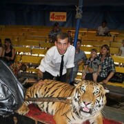 ���������� ��������, ���� ������� ����, 38 ���, ������������ ��� ������, ����� � ���������, c�������� ���������, ���������