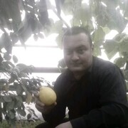 ���������� �����-���������, ���� ������� ������, 44 ����, ������������ ��� ������, ����� � ���������