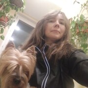  ,   , 49 ,     , c 
